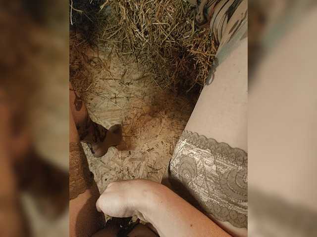 Скриншоты трансляции -kvitka-