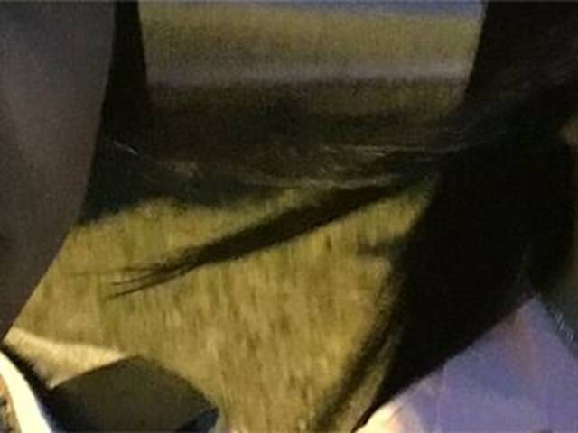 Скриншоты трансляции Alinamax2