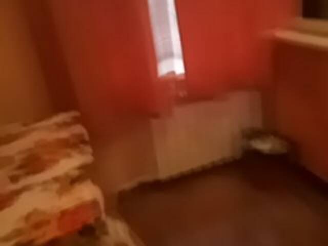 Скриншоты трансляции Tits_and_Dick