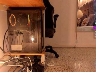 Эротический видеочат amina-west