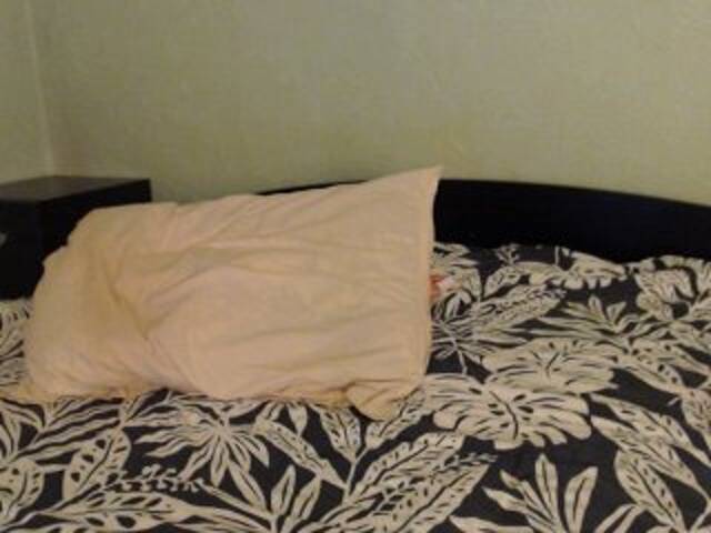 Скриншоты трансляции Alissia_Kiss