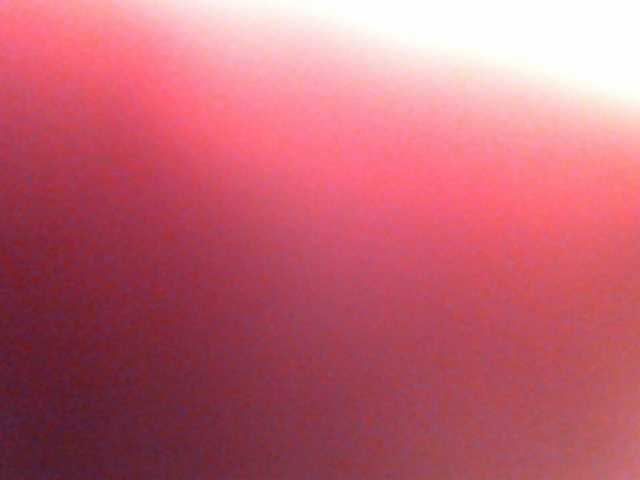 Скриншоты трансляции anawild4you