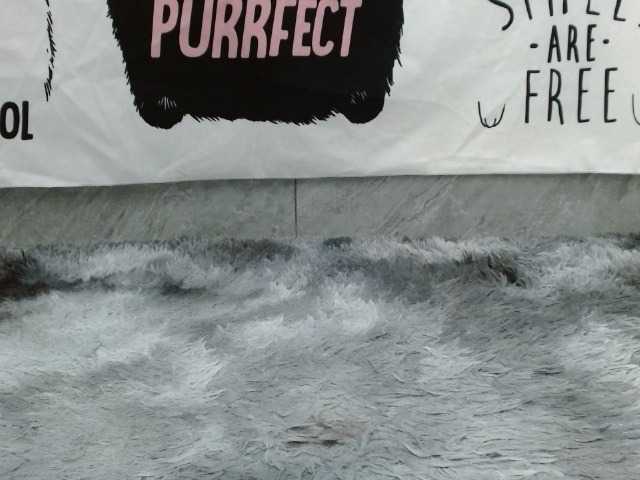 Скриншоты трансляции Asian-girll