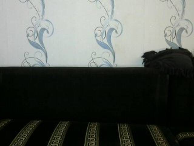 Скриншоты трансляции Midly1