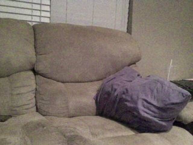 Скриншоты трансляции AvalonAshley