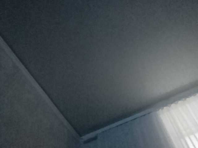 Скриншоты трансляции b1ToorBoPussy