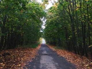 Эротический видеочат Babochkaa