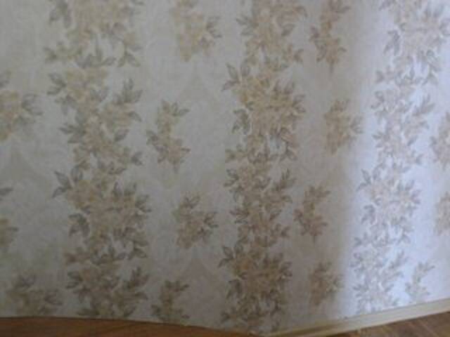 Скриншоты трансляции BabyCandy