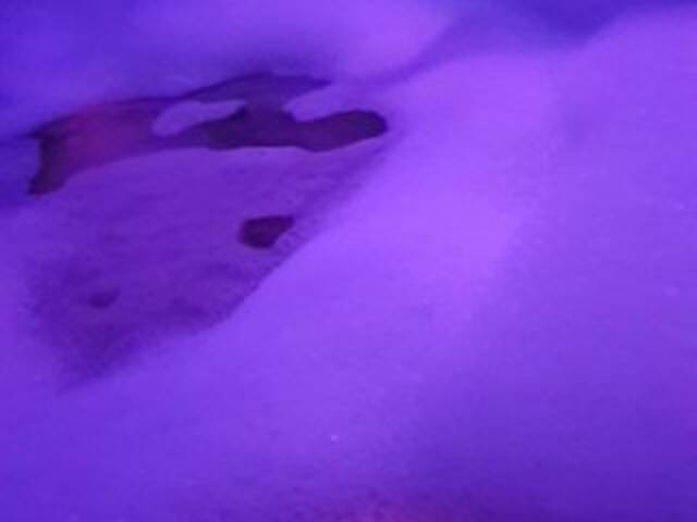 Скриншоты трансляции ___M113