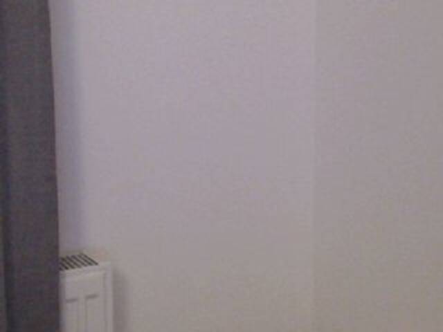 Скриншоты трансляции BoonBonny