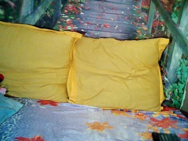 Скриншоты трансляции bubbliciousbb