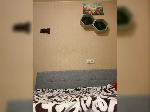 Скриншоты трансляции SweetyMeow