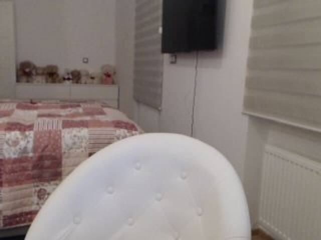 Скриншоты трансляции Cassionella1