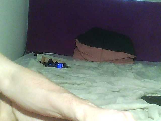 Скриншоты трансляции cat-and-cat