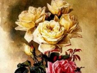 Эротический видеочат cowtitts