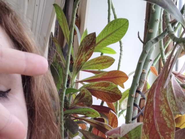 Фотография профиля Crazycouple8