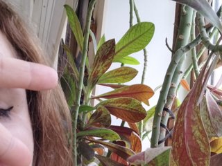 Эротический видеочат Crazycouple8