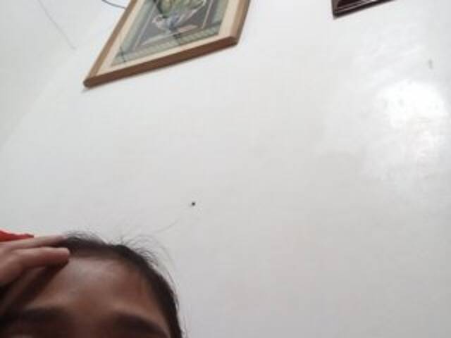 Скриншоты трансляции Crystal24