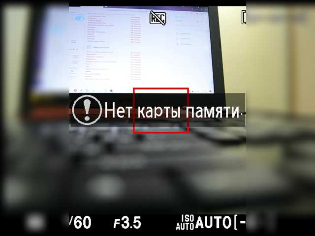 Скриншоты трансляции CrazyBunnys