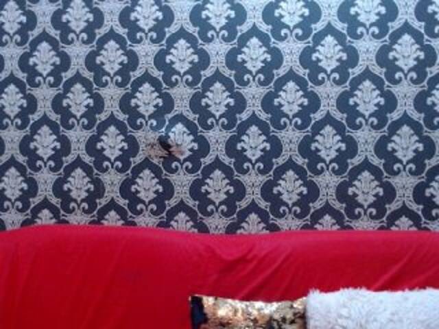 Скриншоты трансляции CurvyCristine