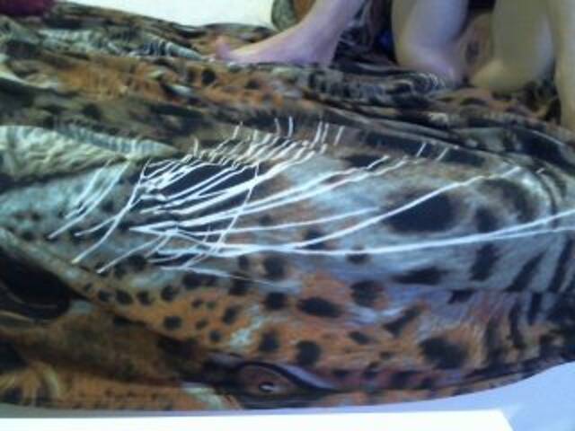 Скриншоты трансляции Dama2018