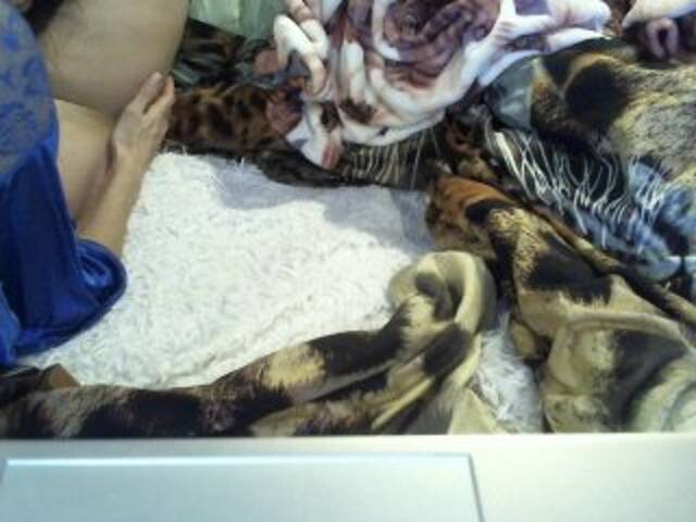 Скриншоты трансляции Dama2018