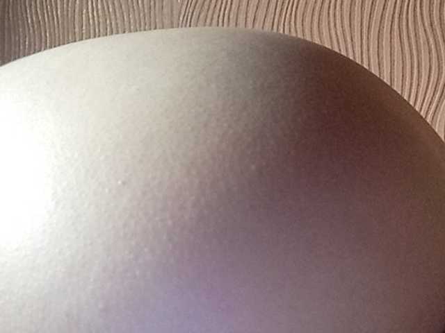 Скриншоты трансляции Darinaray777