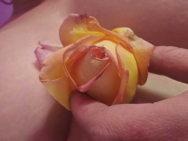 Фотография профиля Delicious-Dahlia