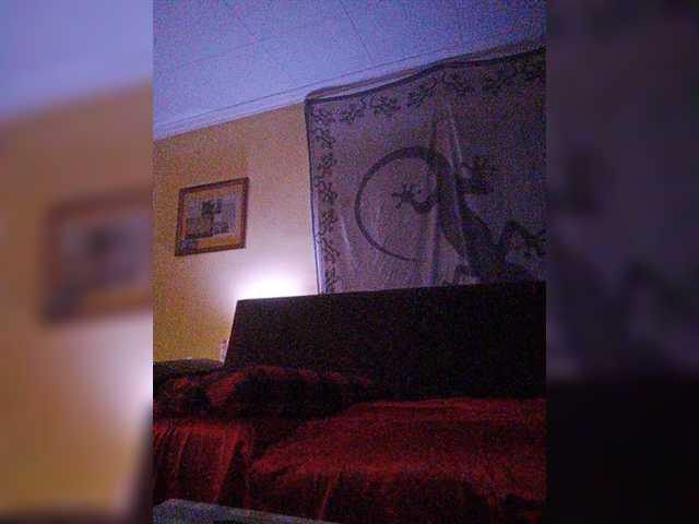 Скриншоты трансляции Doggysx