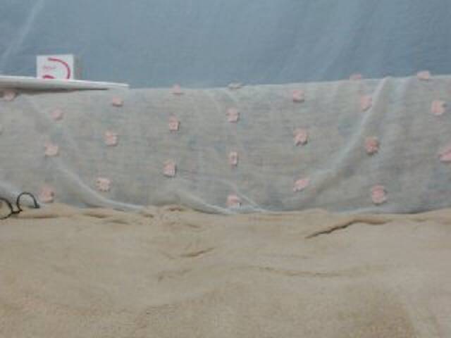 Скриншоты трансляции DonnaWildJoyy