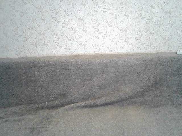 Скриншоты трансляции ElegantBlonda