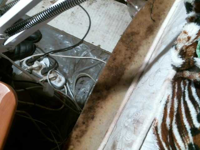 Скриншоты трансляции Elliada