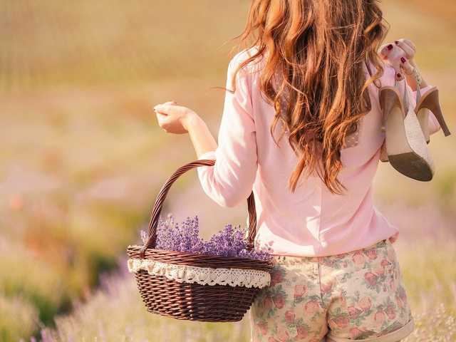 Фотография профиля ellyMiller