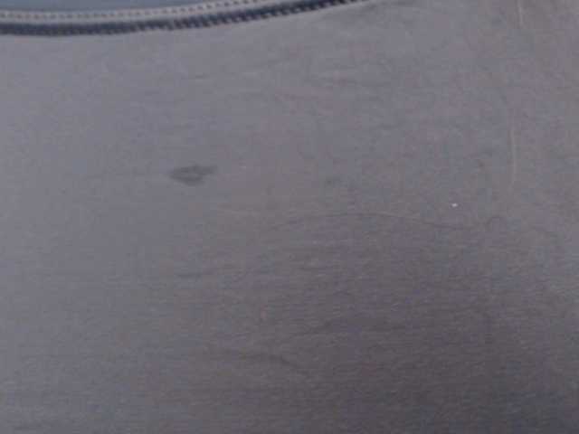 Скриншоты трансляции elsa29