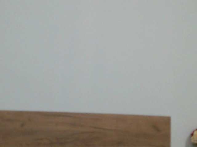 Скриншоты трансляции ElyStar1