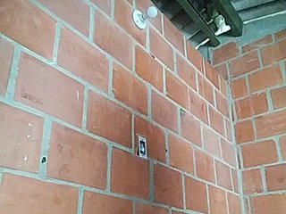 Эротический видеочат EmiliAddams