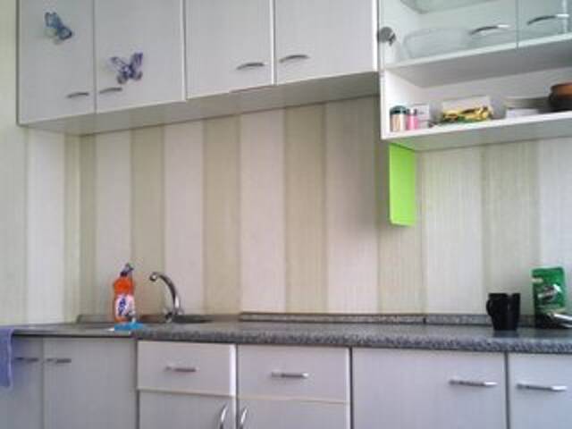 Скриншоты трансляции Serseia