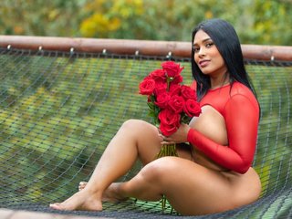 Эротический видеочат Ericajohnson12