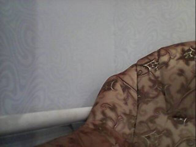 Скриншоты трансляции AngelLadyEva