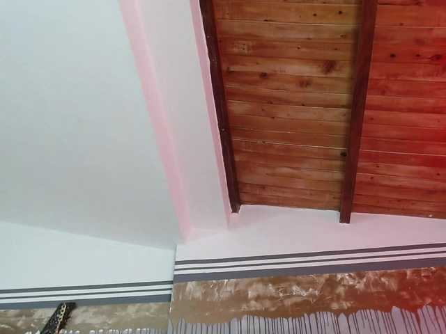 Скриншоты трансляции flexylive