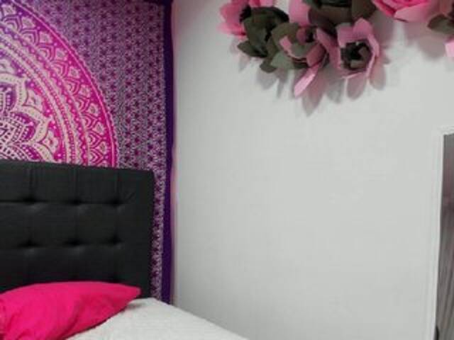 Скриншоты трансляции GingerRabbit-