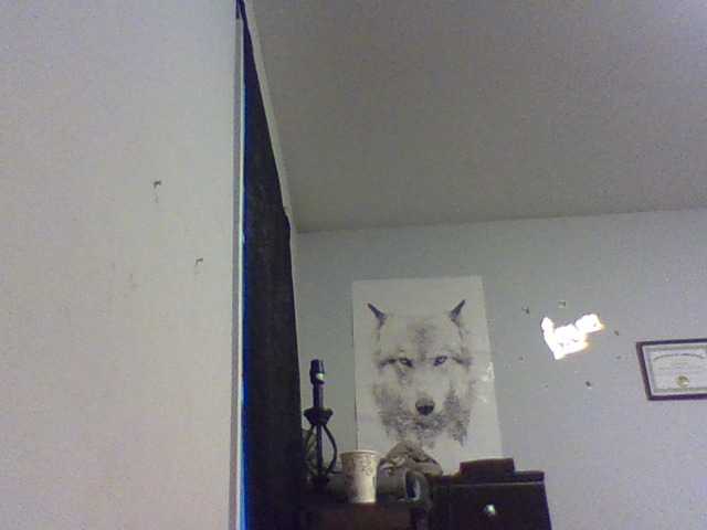 Скриншоты трансляции GlazinD