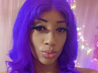 Эротический видеочат 2Exotique