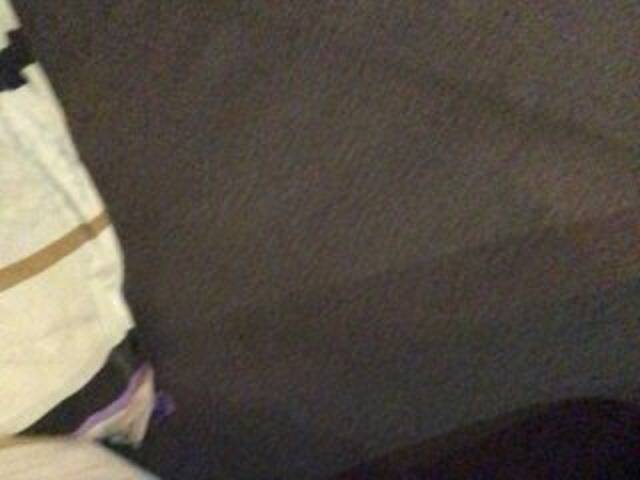 Скриншоты трансляции Grappa01