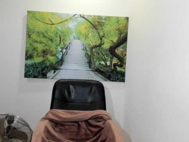 Скриншоты трансляции havanaginger1