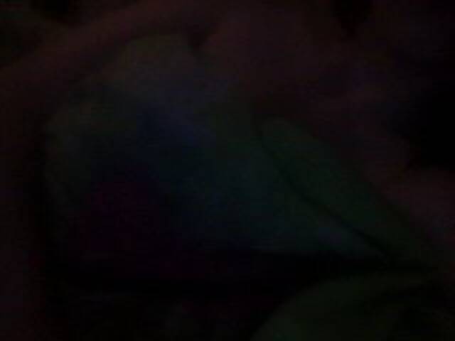 Скриншоты трансляции jylijyli2014