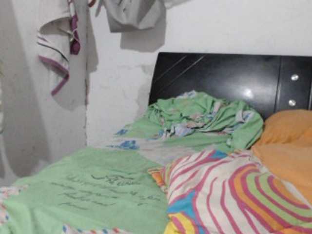 Скриншоты трансляции karlawett