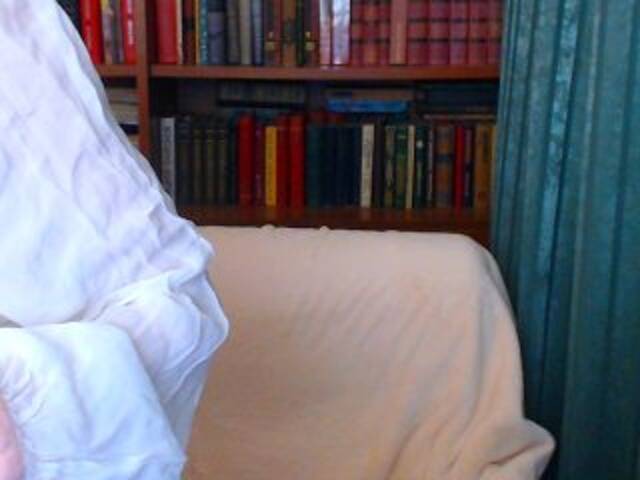 Скриншоты трансляции KassiaDinn