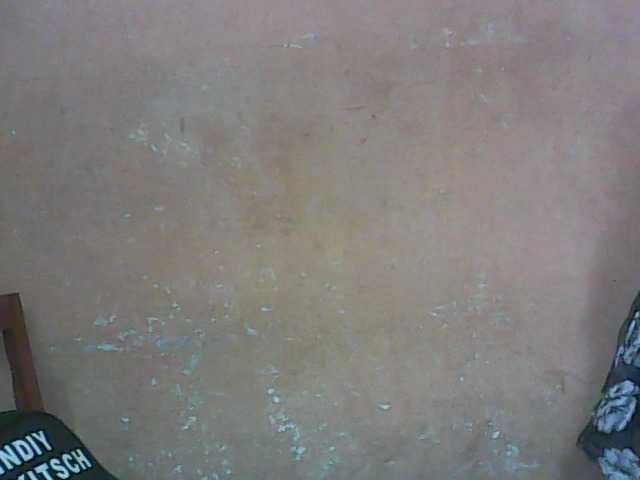 Скриншоты трансляции kattybraid