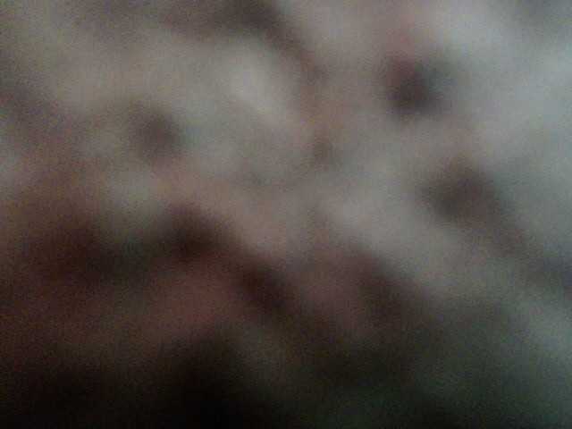 Скриншоты трансляции Kendal212